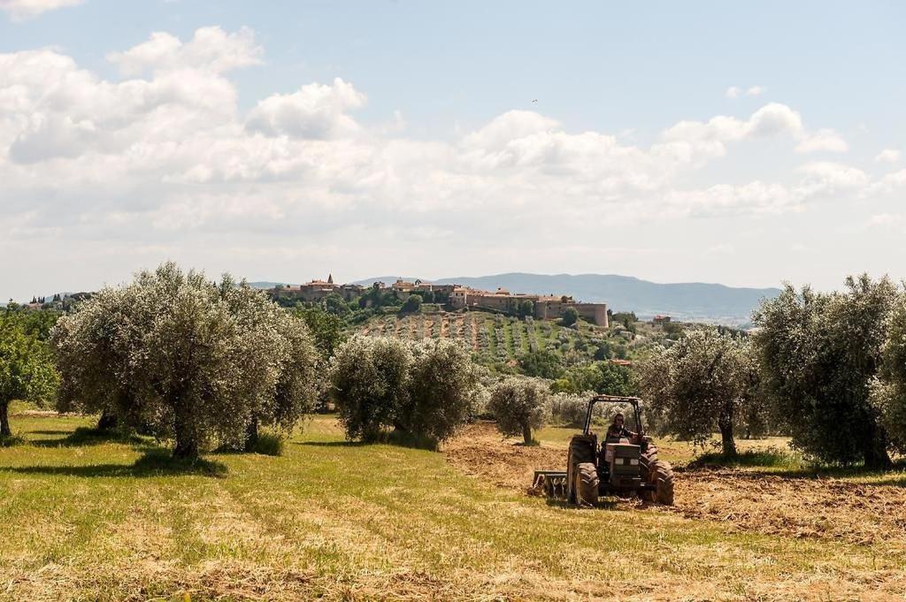 Tenuta Campospillo Magliano in Toscana Dış mekan fotoğraf