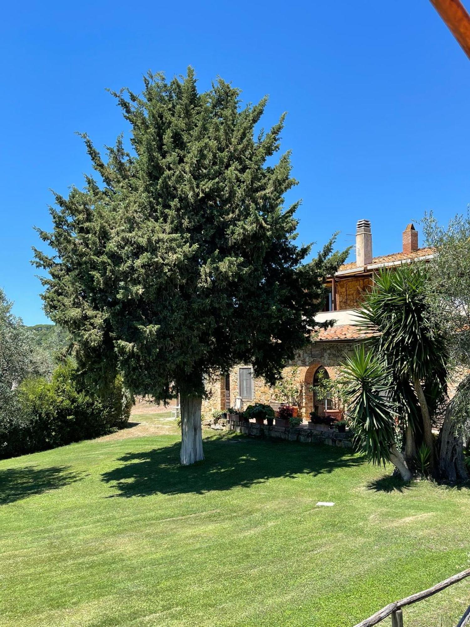Tenuta Campospillo Magliano in Toscana Dış mekan fotoğraf