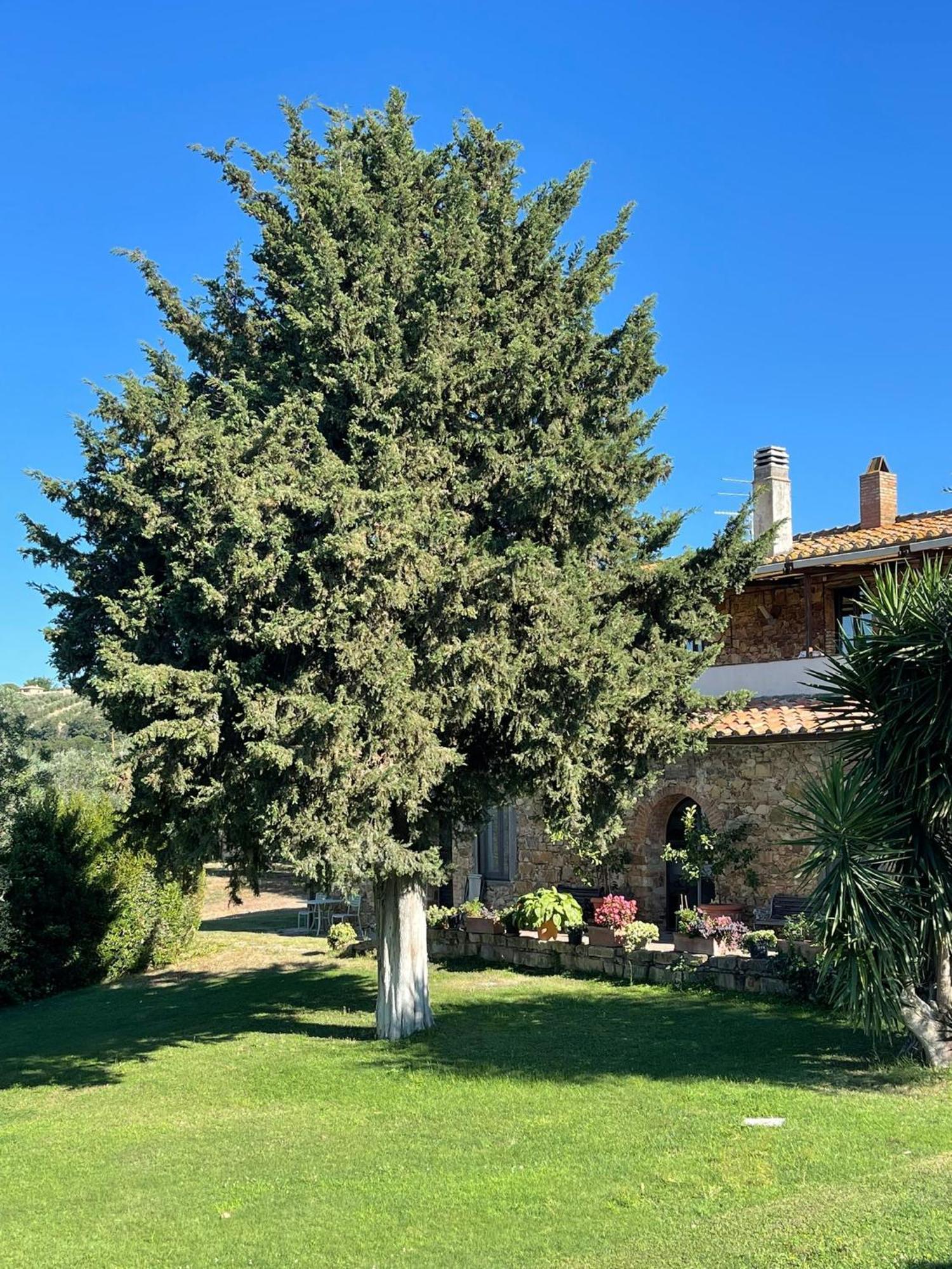 Tenuta Campospillo Magliano in Toscana Dış mekan fotoğraf