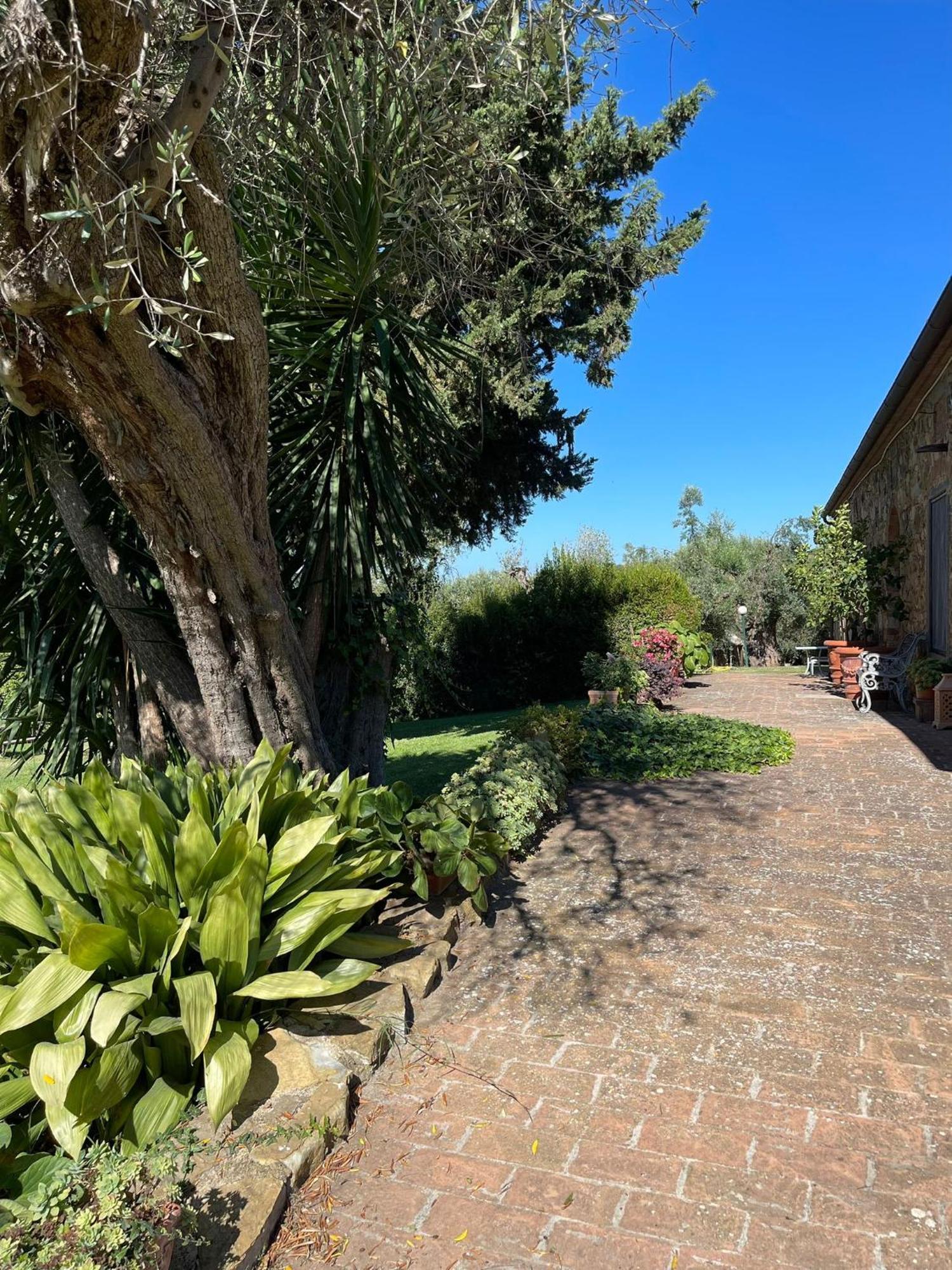 Tenuta Campospillo Magliano in Toscana Dış mekan fotoğraf